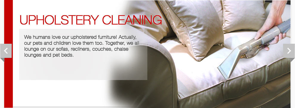 Carpet cleaning new smyrna beach
