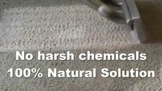 Cheap (but Quality) Carpet Cleaning in Newport Beach is Only a Call Away